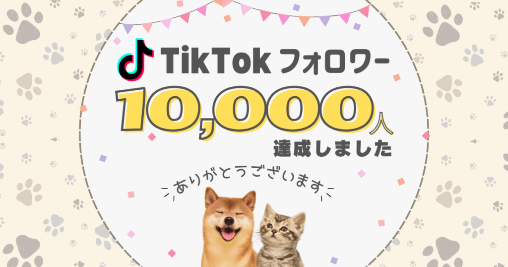 公式TikTokのフォロワーが1万人を突破しました！